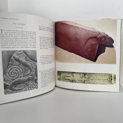 The Decorative Arts of the New Zealand Maori
