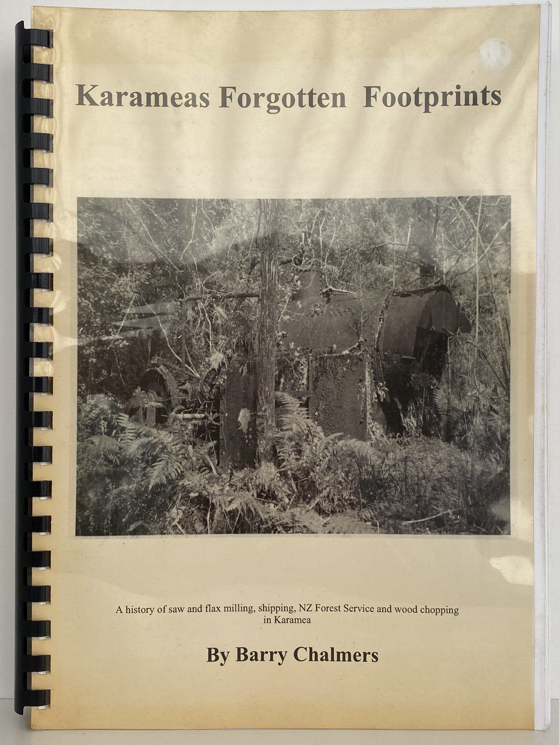 KARAMEAS FORGOTTEN FOOTPRINTS: A History of Saw and Flax Milling in Karamea