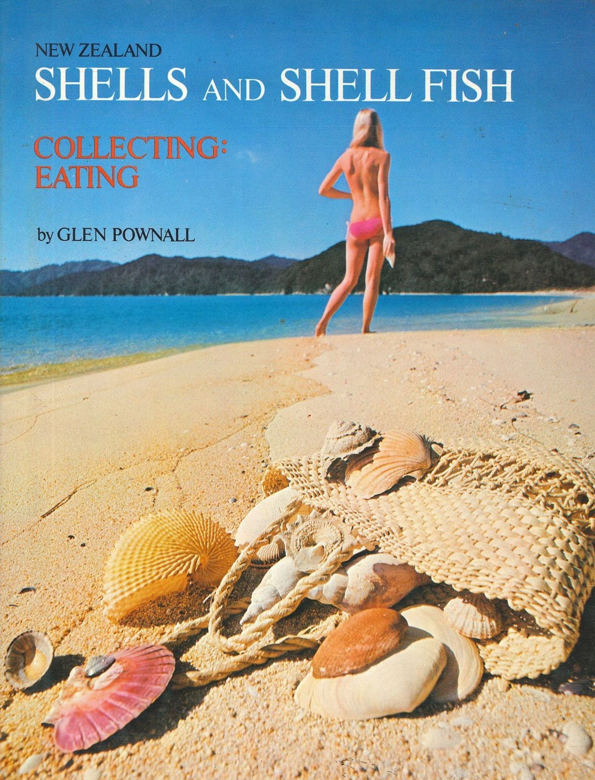 NEW ZEALAND SHELLS and SHELL FISH