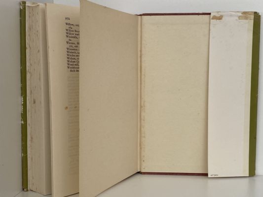 A HISTORY OF THE FENS