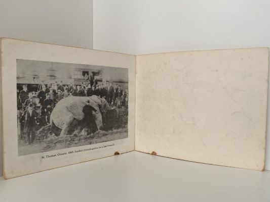 JUMBO: The biggest Elephant in all the World