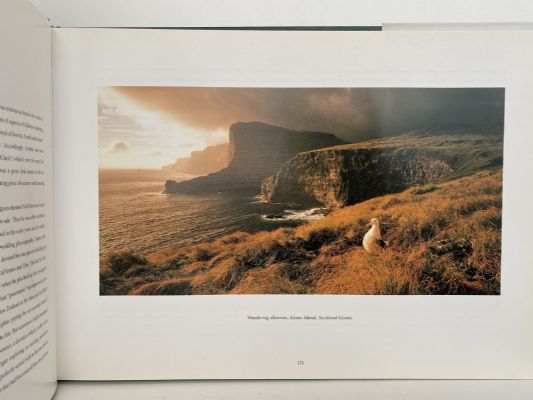 NEW ZEALAND LANDSCAPES