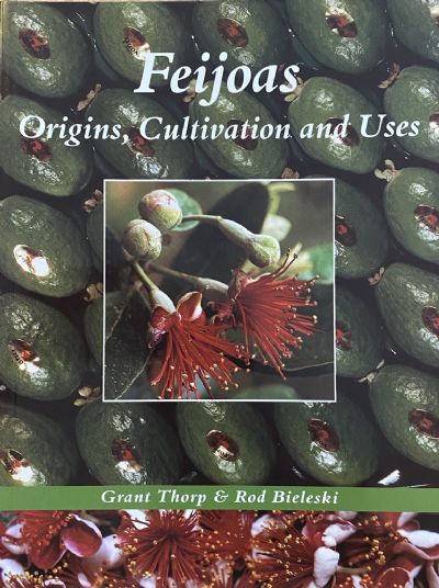 FEIJOAS: Origins, Cultivation and Uses