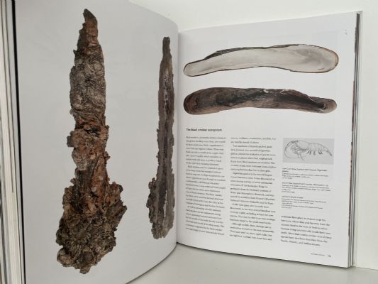 ICONS NGA TAONGA: From the Collections of Te Papa, the Museum of New Zealand