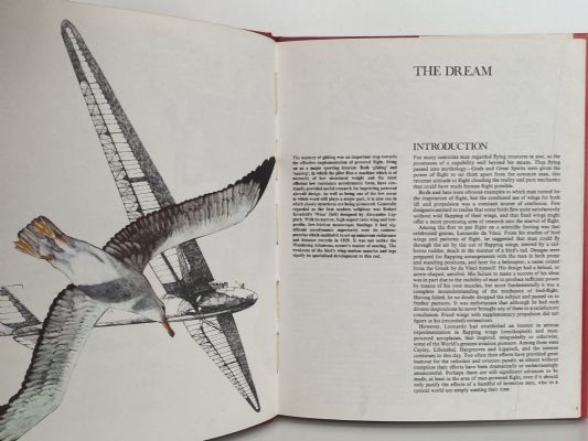 THE WOODEN WONDER: A short history of the wooden aeroplane