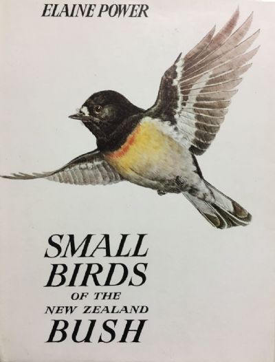 SMALL BIRDS of the NEW ZEALAND BUSH