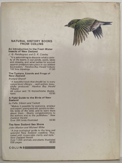 SMALL BIRDS of the NEW ZEALAND BUSH
