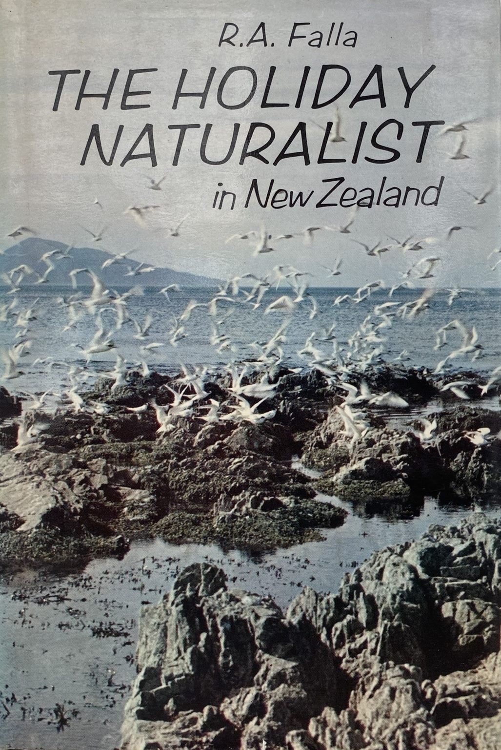THE HOLIDAY NATURALIST