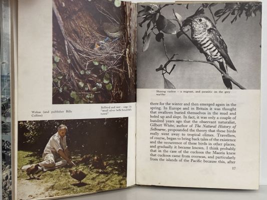 THE HOLIDAY NATURALIST