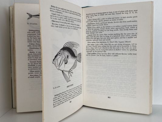 NEW ZEALAND SEA ANGLERS GUIDE - 118 Fishes describes and illustrated