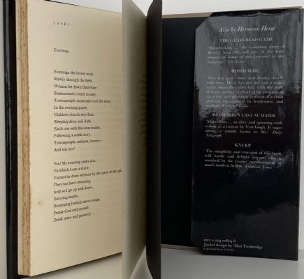 WANDERING: Notes and Sketches