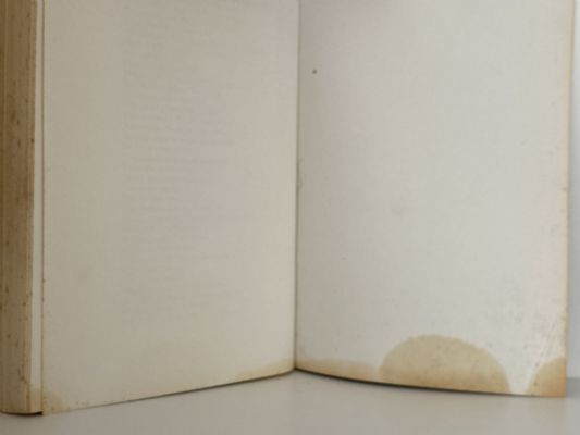 TEN MODERN NEW ZEALAND POETS
