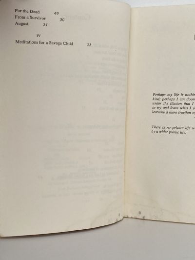 DIVING INTO THE WRECK: Poems 1971-1972