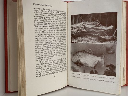 PIONEERING ON THE RIVERS