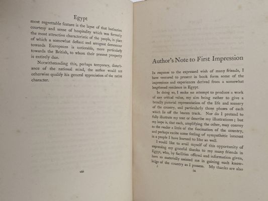 EGYPT: Painted and described