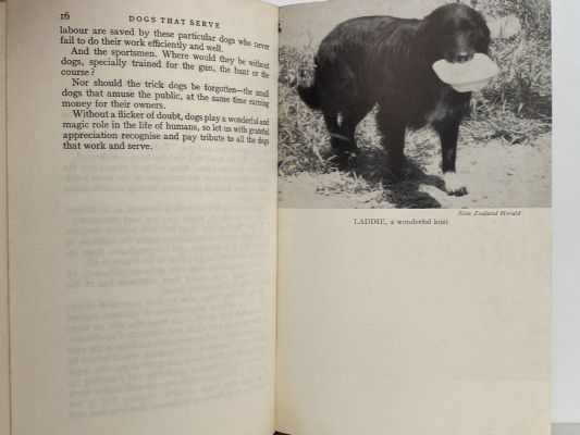 DOGS THAT SERVE: A Tribute