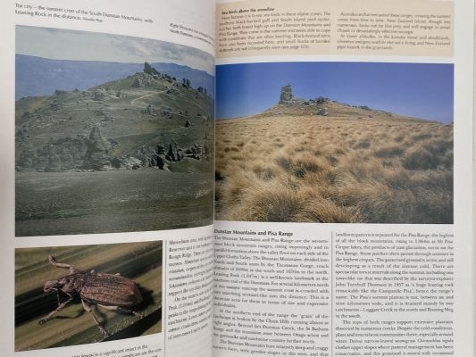 WILD CENTRAL: Discovering the natural history of Central Otago