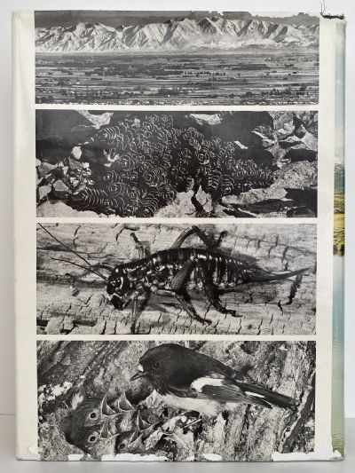 THE NATURAL HISTORY OF CANTERBURY