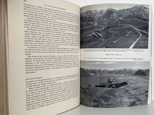 THE NATURAL HISTORY OF CANTERBURY