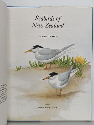 SEABIRDS OF NEW ZEALAND
