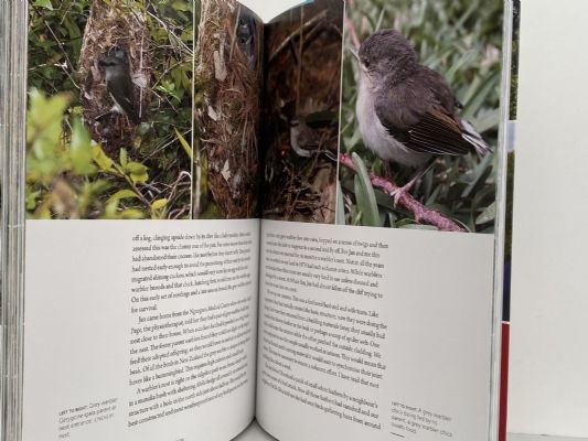 BRINGING BACK THE BIRDSONG
