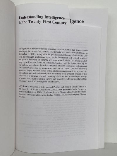 Understanding Intelligence in the Twenty-First Century - Journeys in Shadows