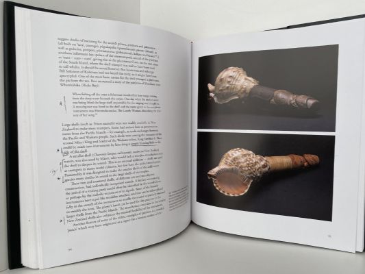 TE ARA PUORO: A journey into the world of Maori music