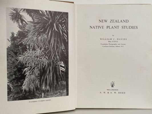 NEW ZEALAND NATIVE PLANT STUDIES