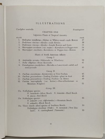 NEW ZEALAND NATIVE PLANT STUDIES