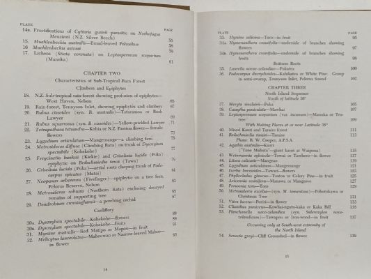 NEW ZEALAND NATIVE PLANT STUDIES