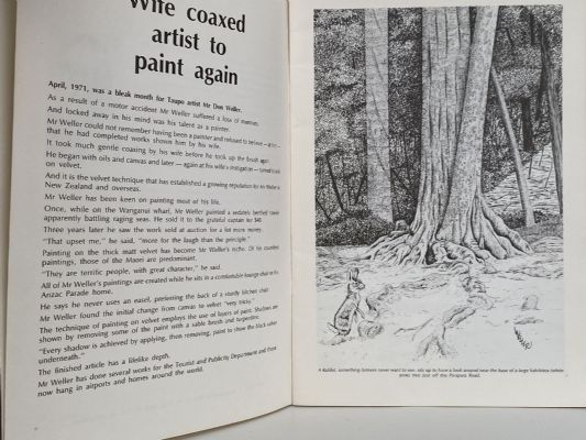 WELLER'S WANDERINGS: A collection of drawings from the Wanganui District