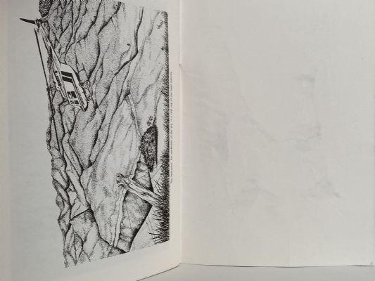 WELLER'S WANDERINGS: A collection of drawings from the Wanganui District