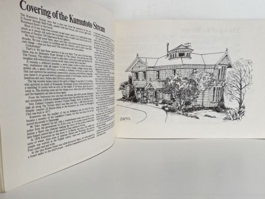 TALES of the TERRACE: From the Cityscapes series in the Evening Post