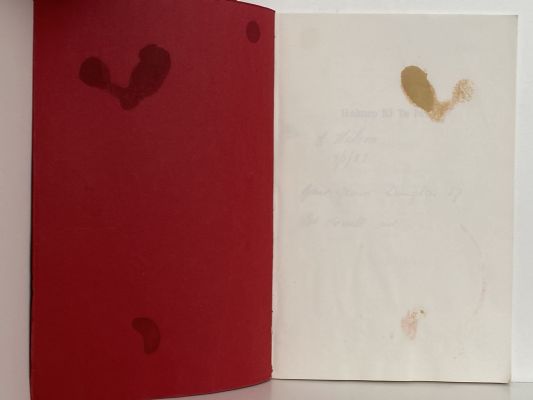 HAKORO KI TE IWI: The Story of Captain Howell and his Family