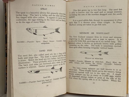 NATIVE FISHES