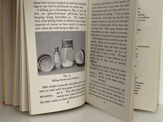 The Observer's Book of BUTTERFLIES
