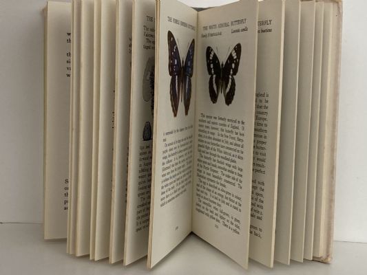 The Observer's Book of BUTTERFLIES