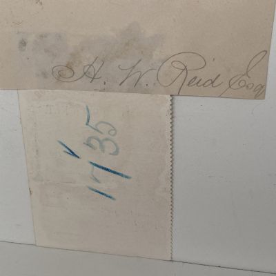 ANTIQUE TICKET: Otago Early Settlers Association 1901