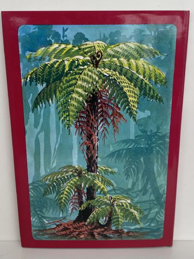 NEW ZEALAND TREES & FERNS