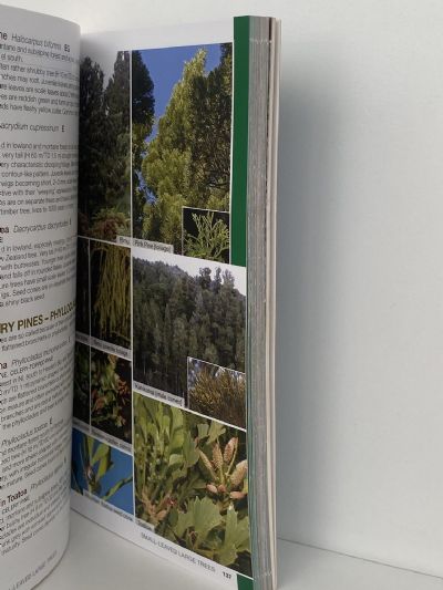 BATEMAN FIELD GUIDE to Wild New Zealand