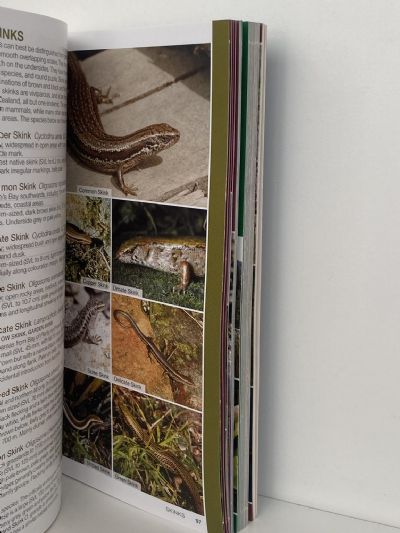 BATEMAN FIELD GUIDE to Wild New Zealand