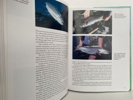 THE COMPLETE NZ FISHERMAN: Saltwater and freshwater fishing