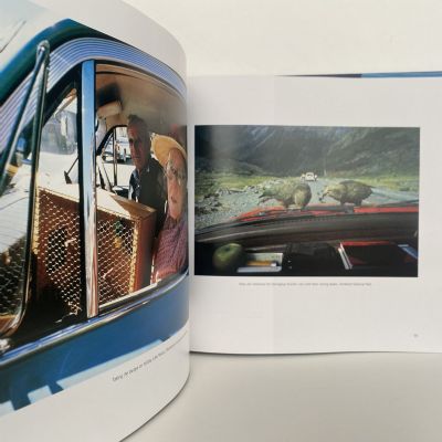 Pictures from New Zealand