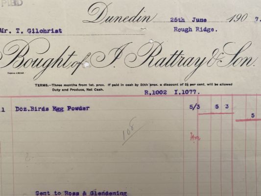 ANTIQUE INVOICE / RECEIPT: J. Rattray & Son, Dunedin 1907 