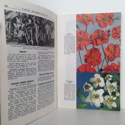 YATES GARDEN GUIDE: 53rd Edition