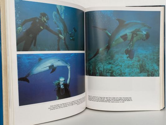DOLPHIN, DOLPHIN