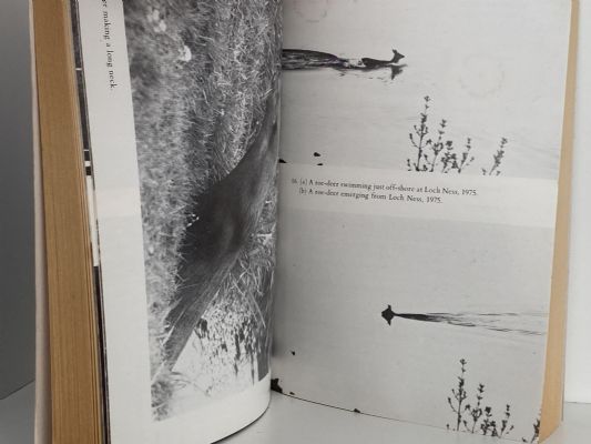 THE LOCH NESS MYSTERY SOLVED