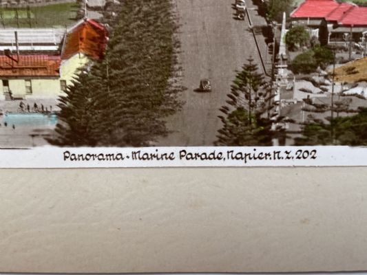 VINTAGE PHOTOS: A Memento from Napier, New Zealand