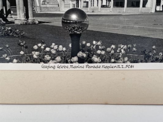 VINTAGE PHOTOS: A Memento from Napier, New Zealand