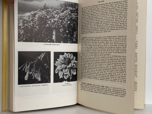 NEW ZEALAND GARDEN DICTIONARY